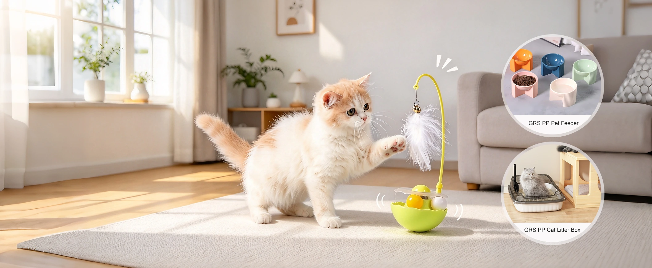 Fornitore di giocattoli e accessori per animali domestici di qualità in Cina