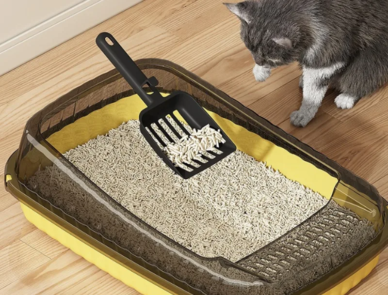 La lettiera per gatti GRS PP può risolvere le maggiori frustrazioni dei proprietari di gatti?