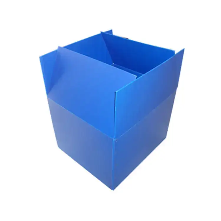 Scatola di fatturato GRS PP