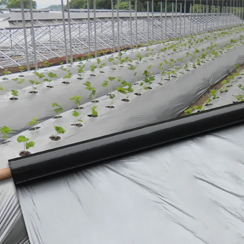 GRS PE Mulch Film