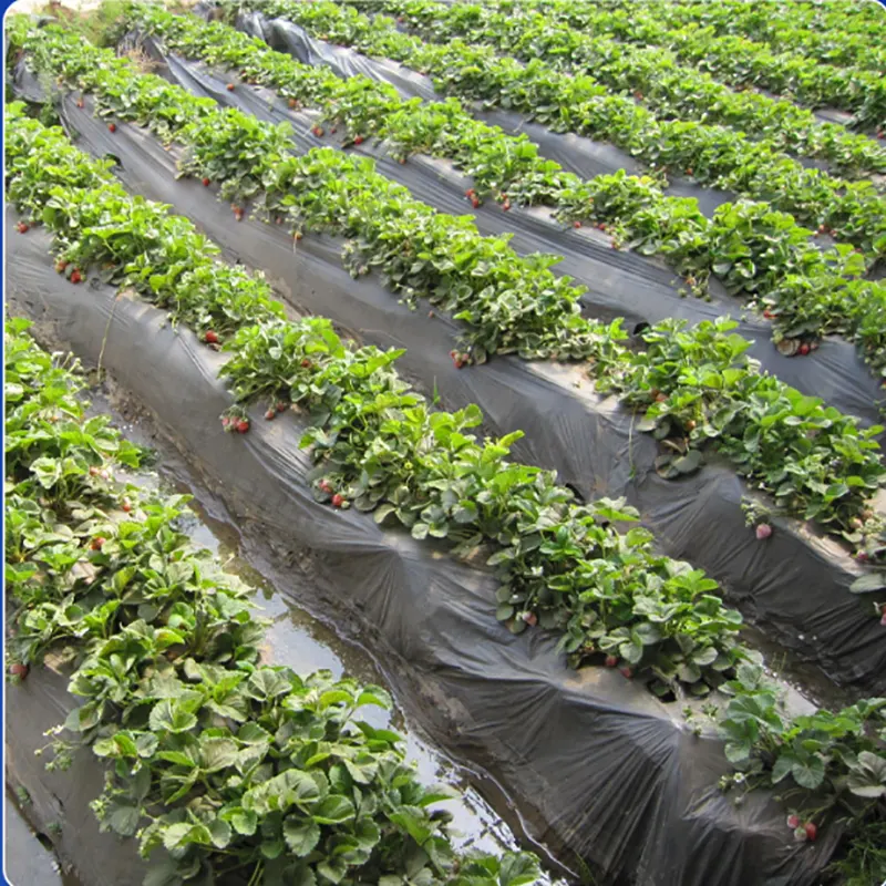 GRS PE Mulch Film